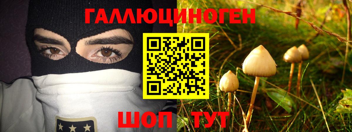 Клинцы  даркнет сайт  Вход с VPN  Псилоцибиновые грибы мицелий 