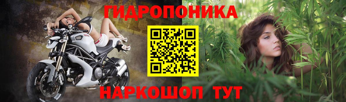 Бошки Шишки тримм  Вход с VPN  Каннабис SATIVA & INDICA  Клинцы  Бошки Шишки SATIVA & INDICA 